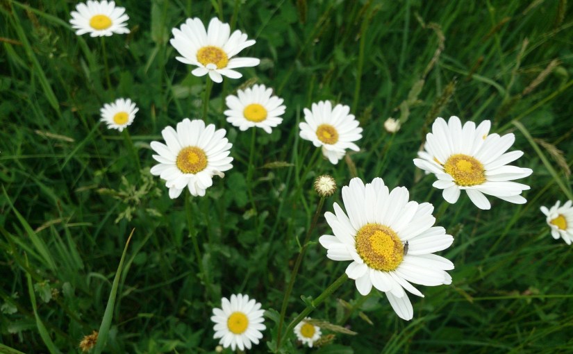 How to find your place in the&nbsp;world